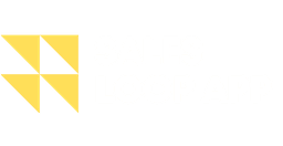 Sales Loop Logo